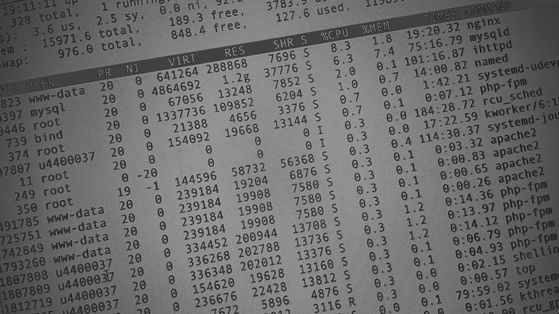 Настройка сервера в Нефтекамске